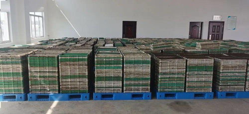 科技赋能农业新篇章 我市首座工厂化水稻集中育秧中心落成启用